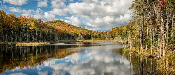 Collins, Ann 아티스트의 USA-New York-Adirondacks Autumn afternoon at Raquette Brook작품입니다.